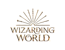 Wizarding World Spin Master