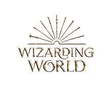 Wizarding World Spin Master
